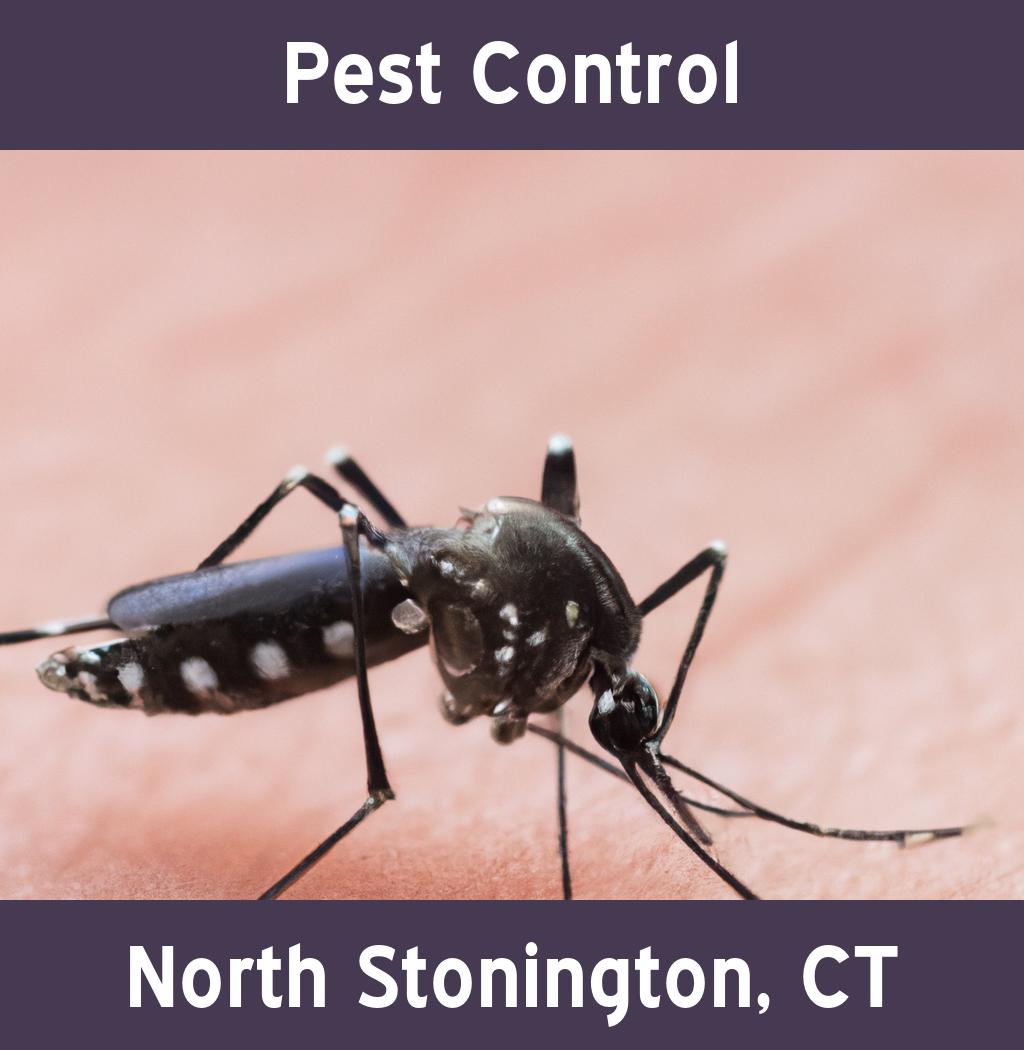 pest control in North Stonington Connecticut