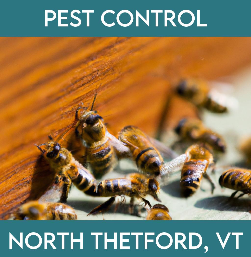 pest control in North Thetford Vermont