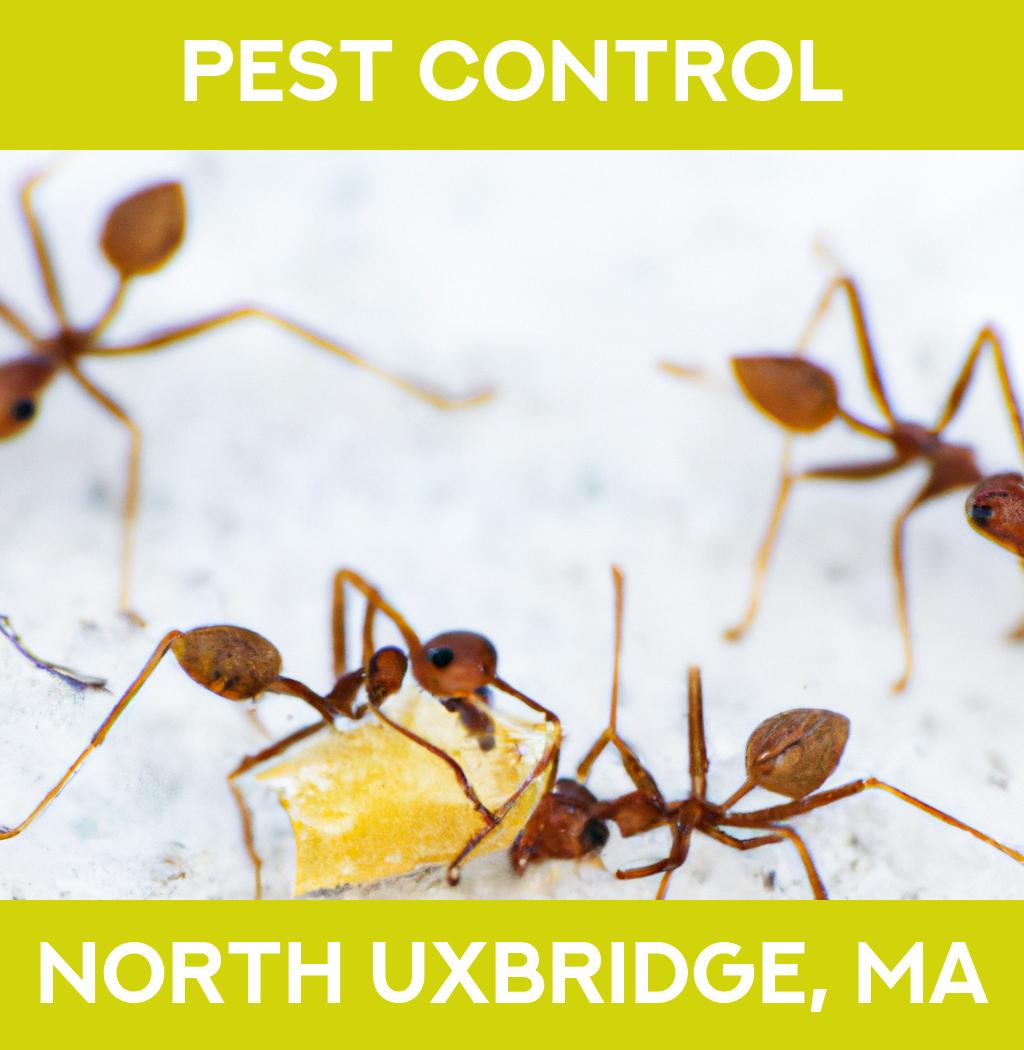 pest control in North Uxbridge Massachusetts