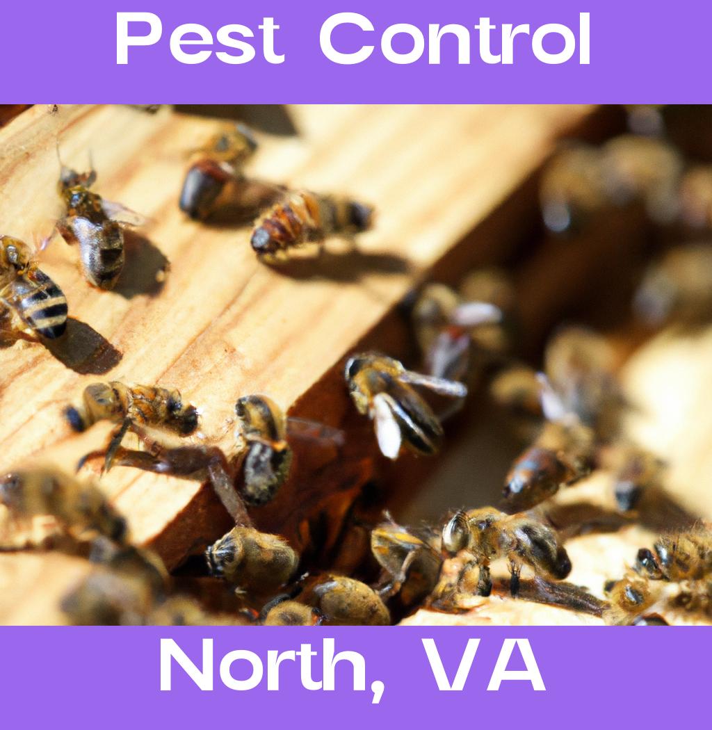 pest control in North Virginia