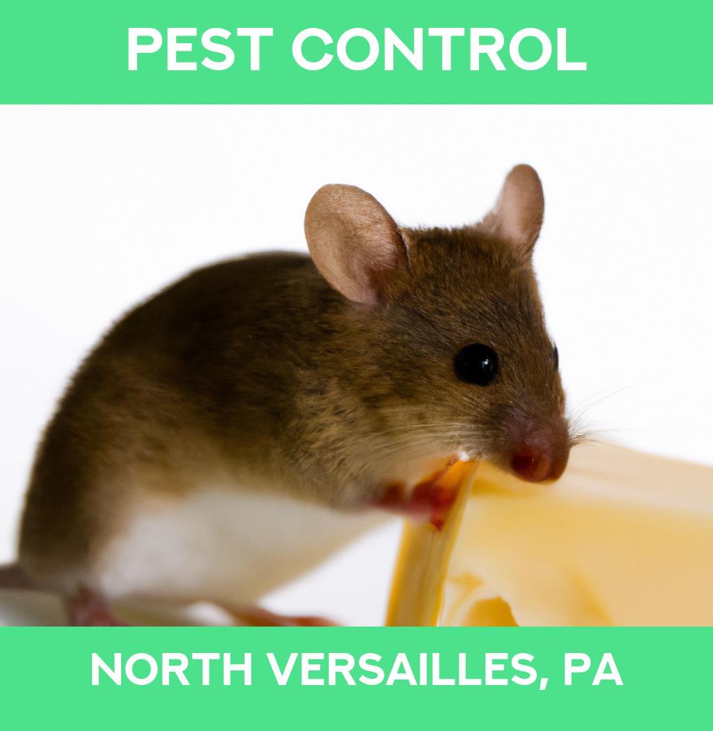 pest control in North Versailles Pennsylvania