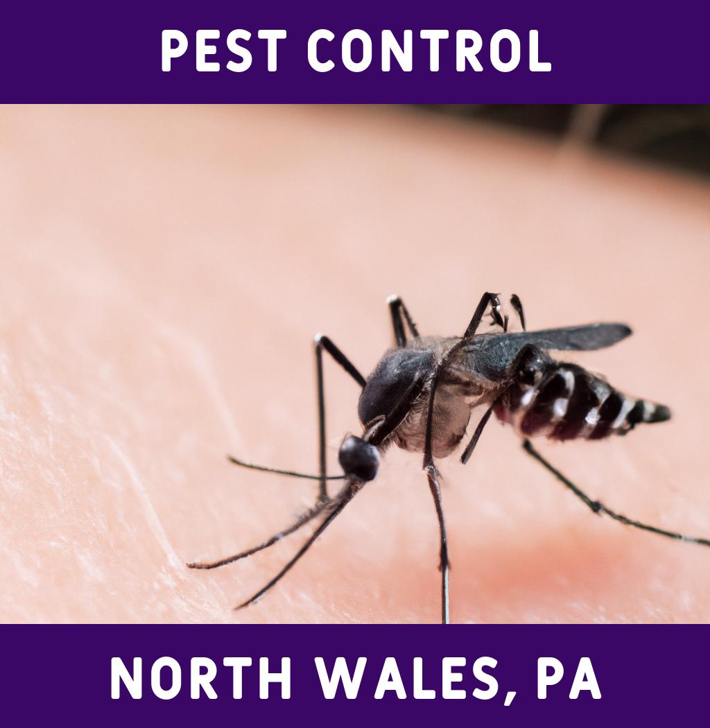 pest control in North Wales Pennsylvania