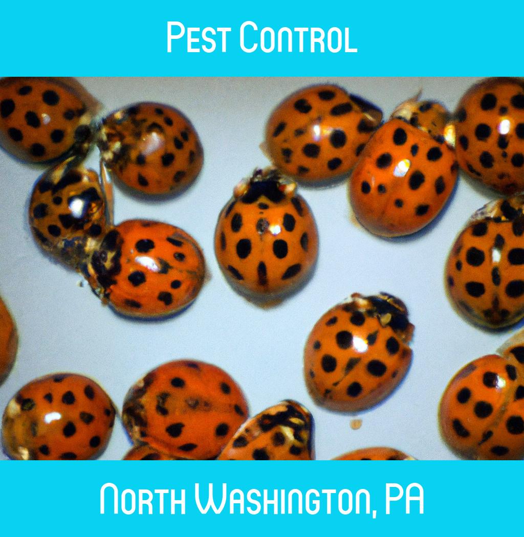 pest control in North Washington Pennsylvania
