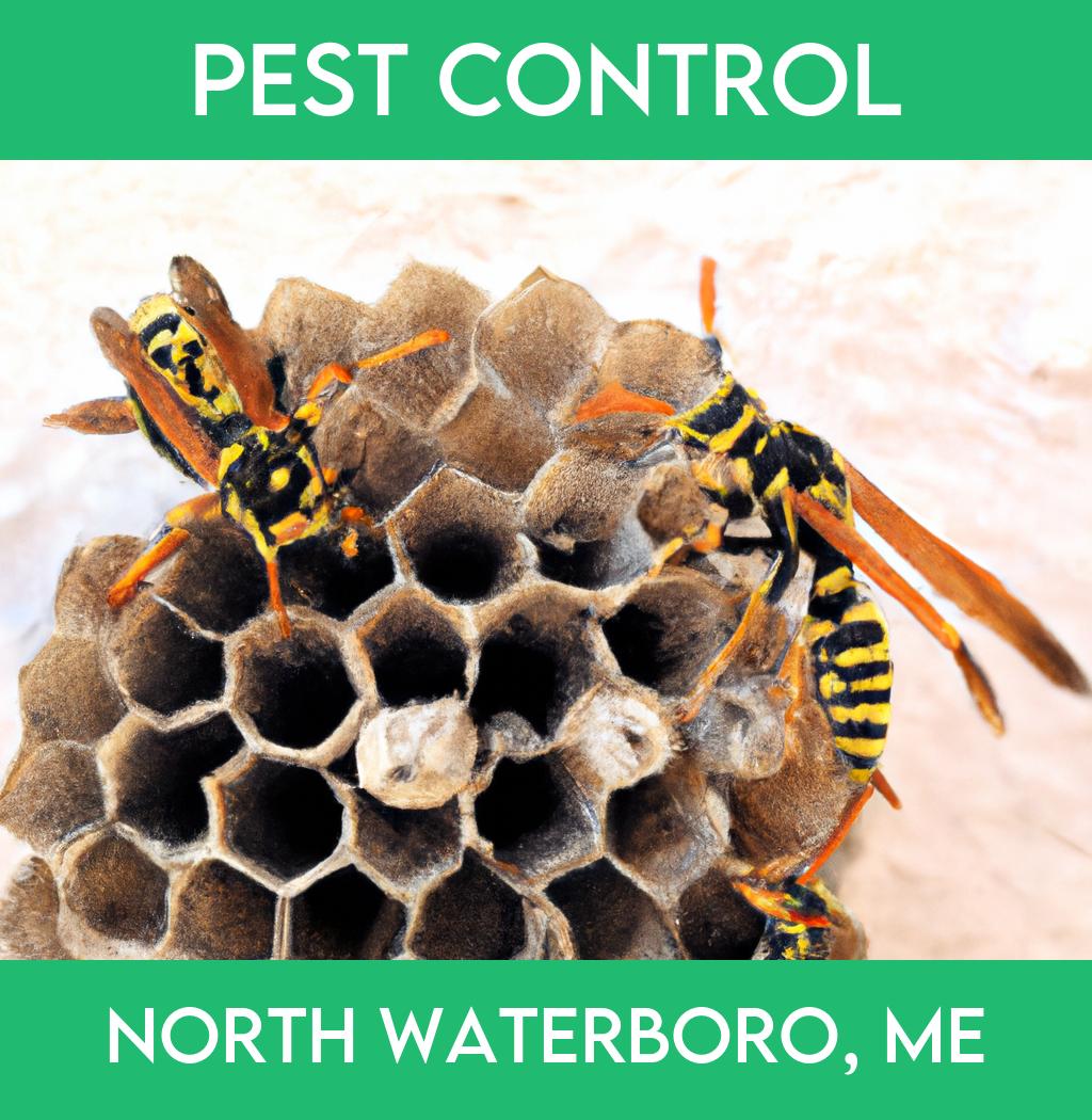 pest control in North Waterboro Maine
