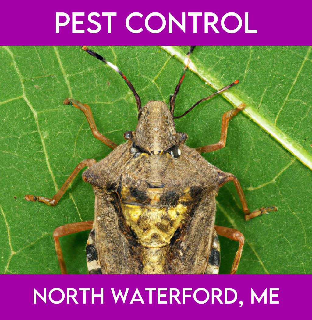 pest control in North Waterford Maine