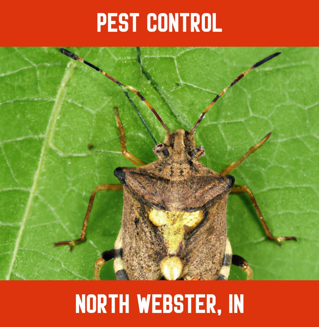 pest control in North Webster Indiana