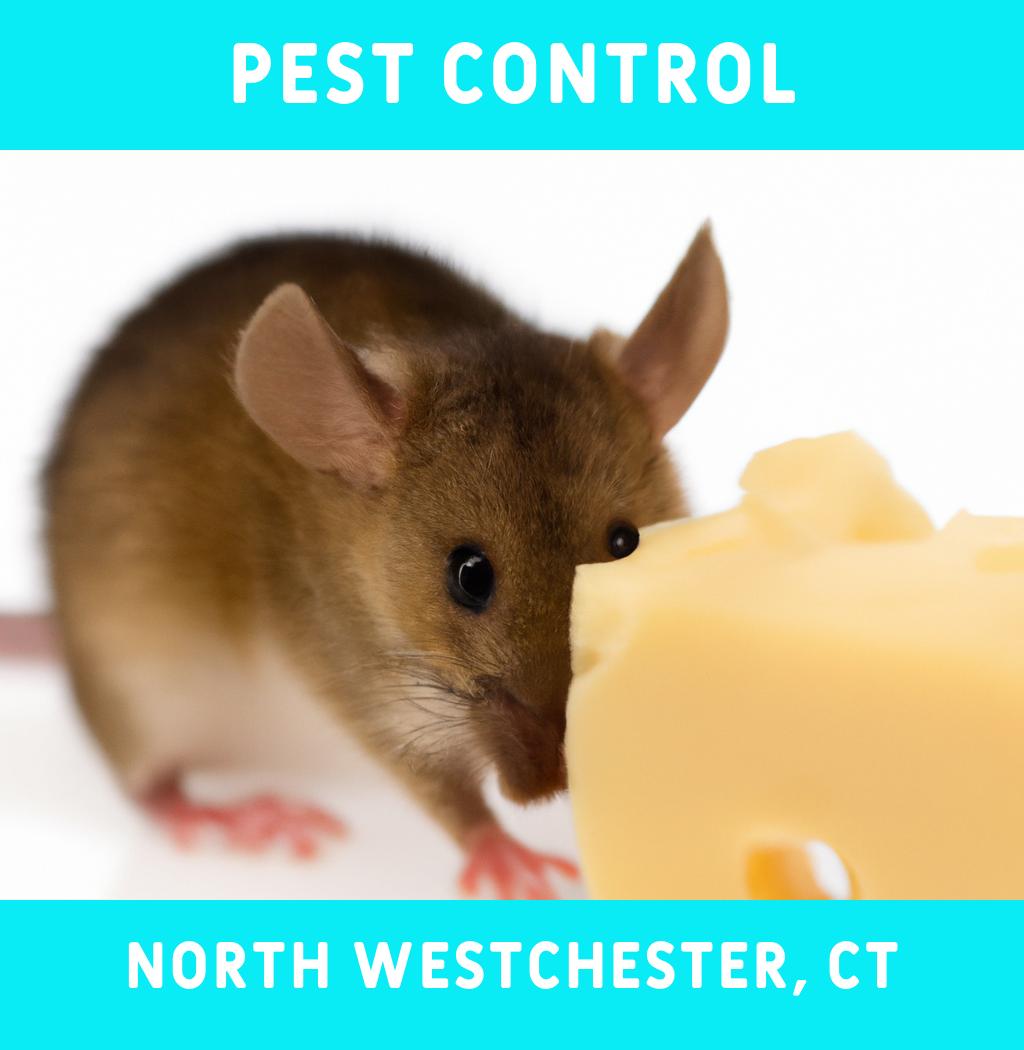 pest control in North Westchester Connecticut