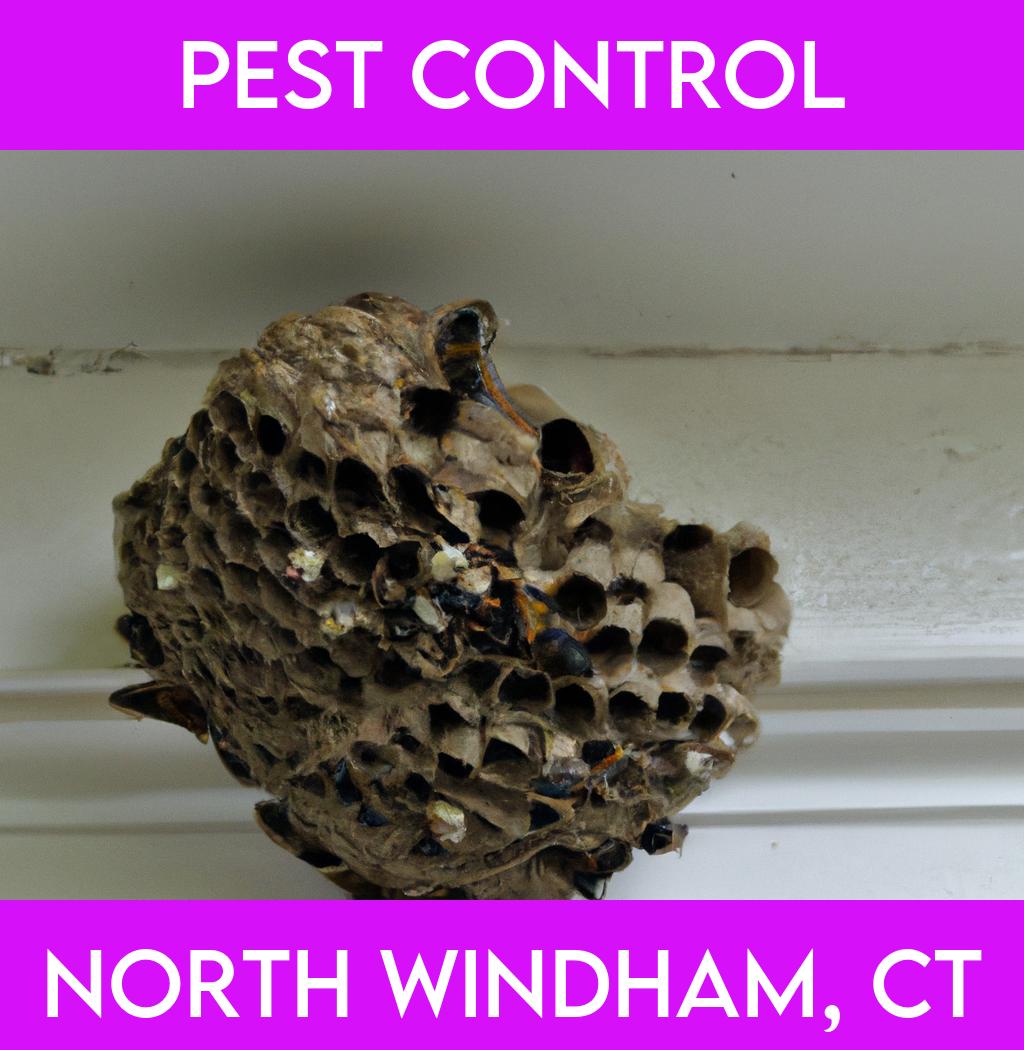 pest control in North Windham Connecticut