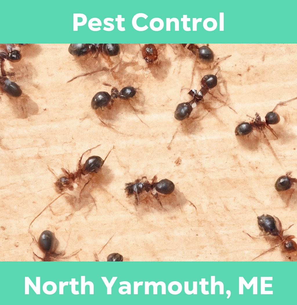 pest control in North Yarmouth Maine