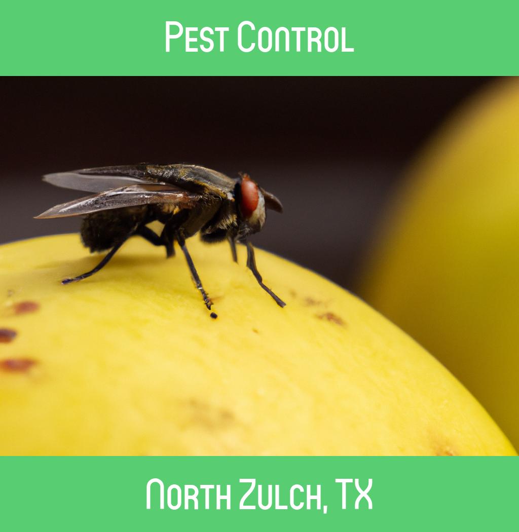 pest control in North Zulch Texas