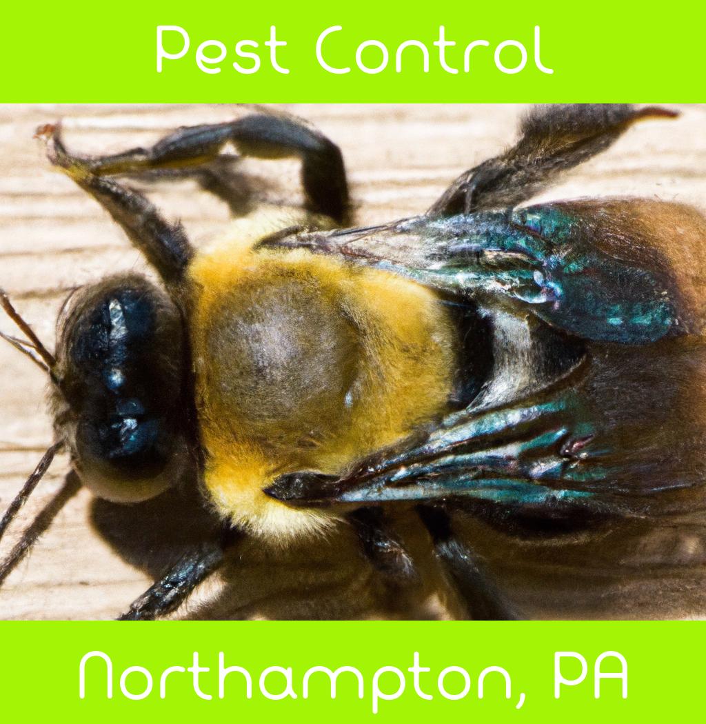 pest control in Northampton Pennsylvania