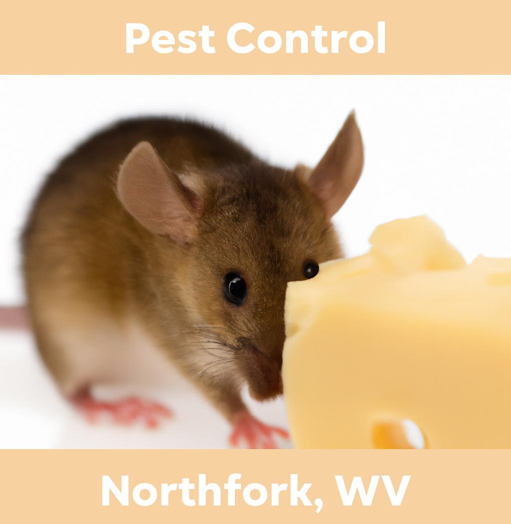 pest control in Northfork West Virginia