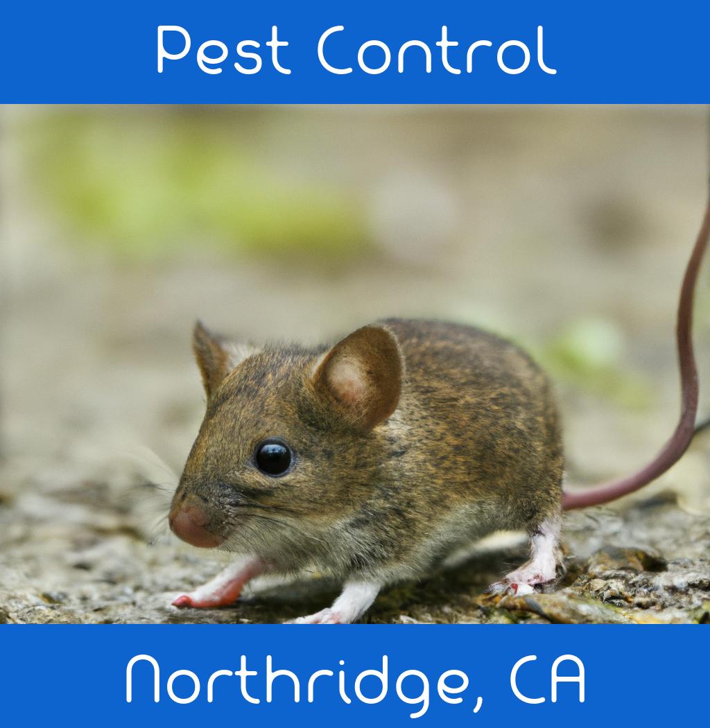 pest control in Northridge California