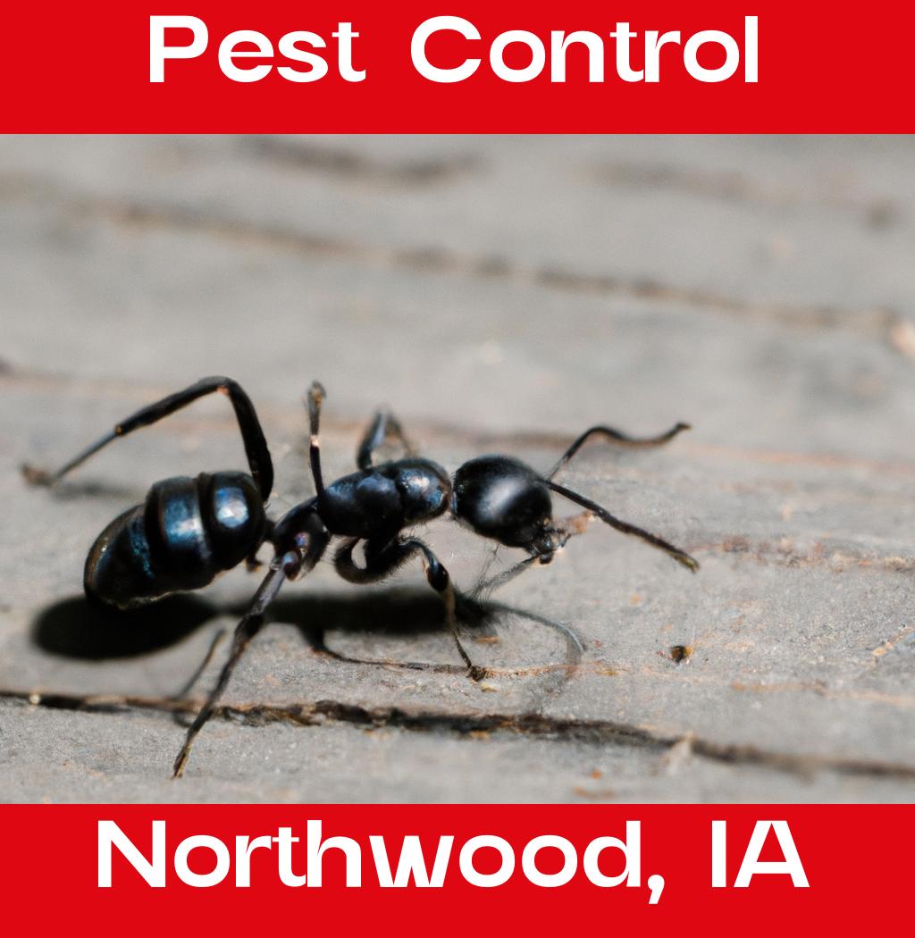 pest control in Northwood Iowa