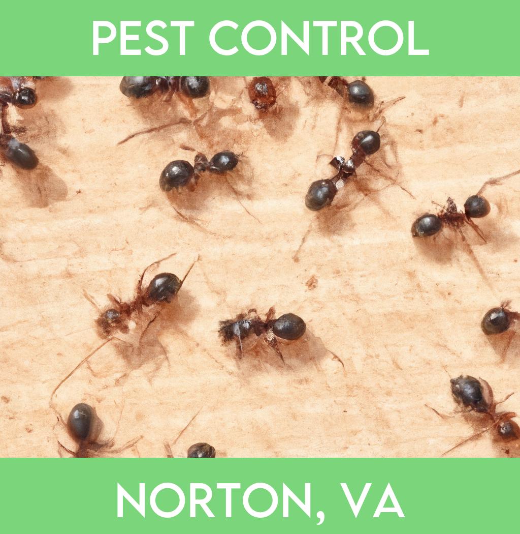pest control in Norton Virginia