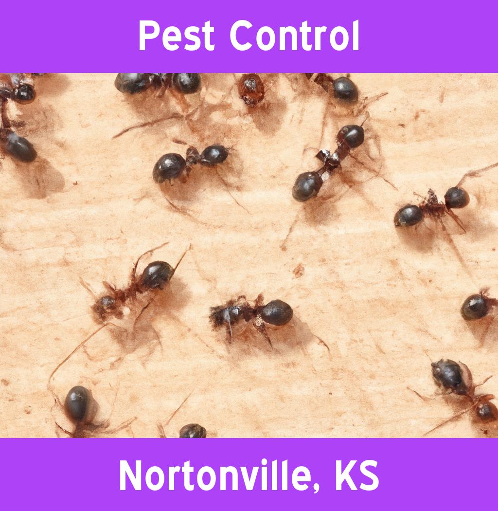 pest control in Nortonville Kansas