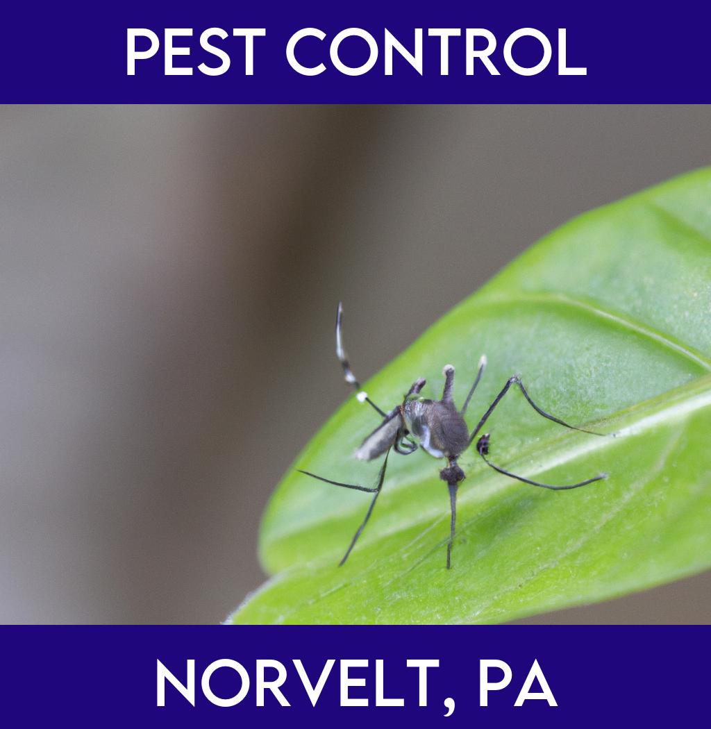 pest control in Norvelt Pennsylvania