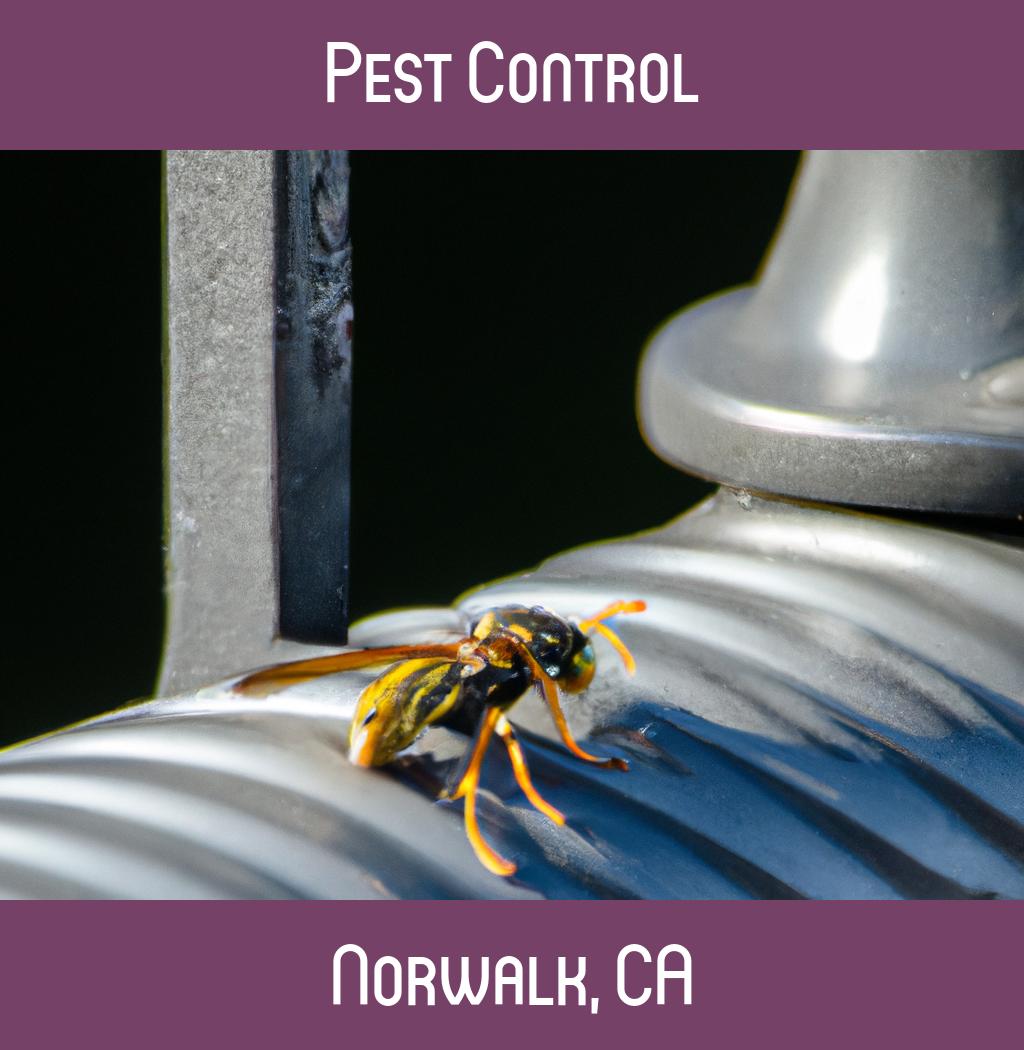 pest control in Norwalk California