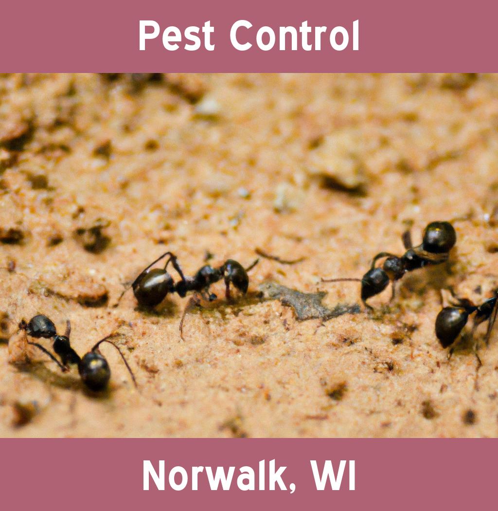 pest control in Norwalk Wisconsin