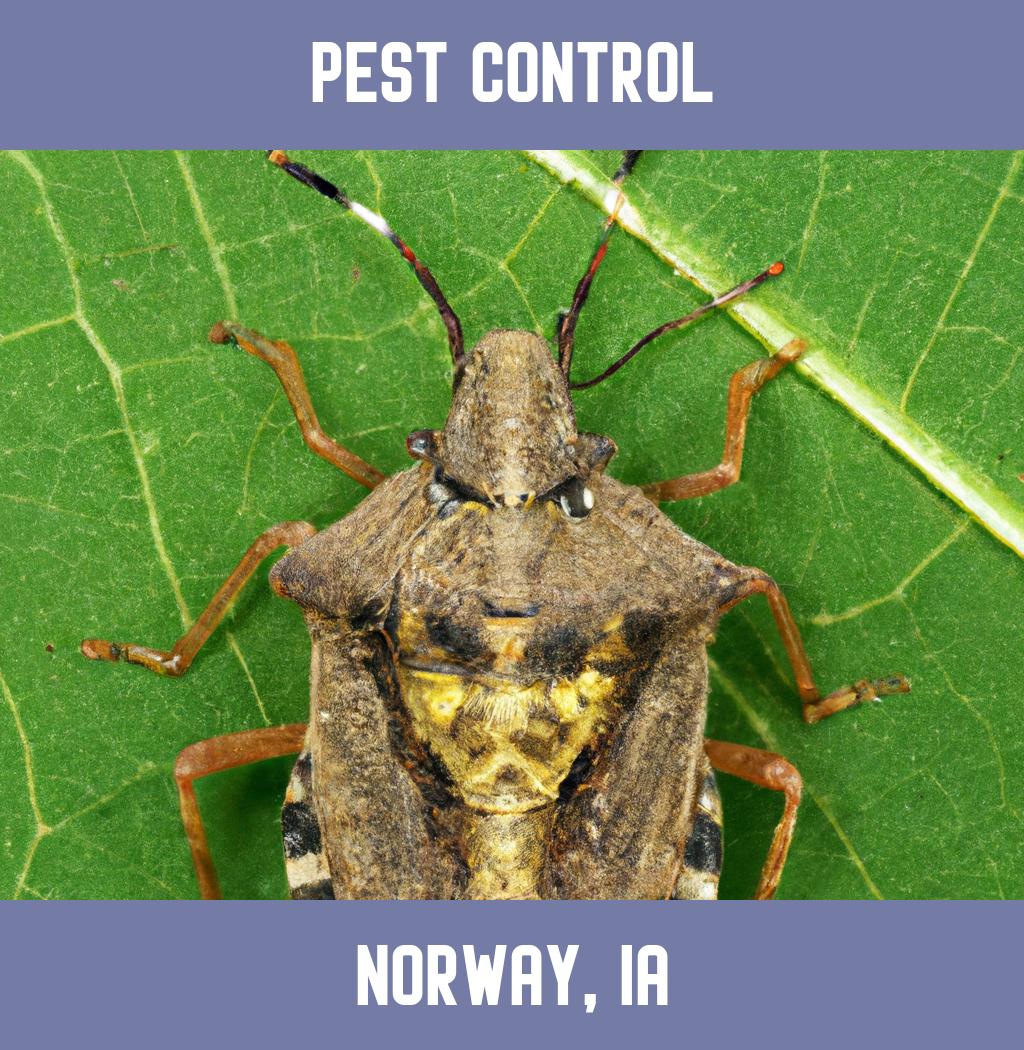 pest control in Norway Iowa