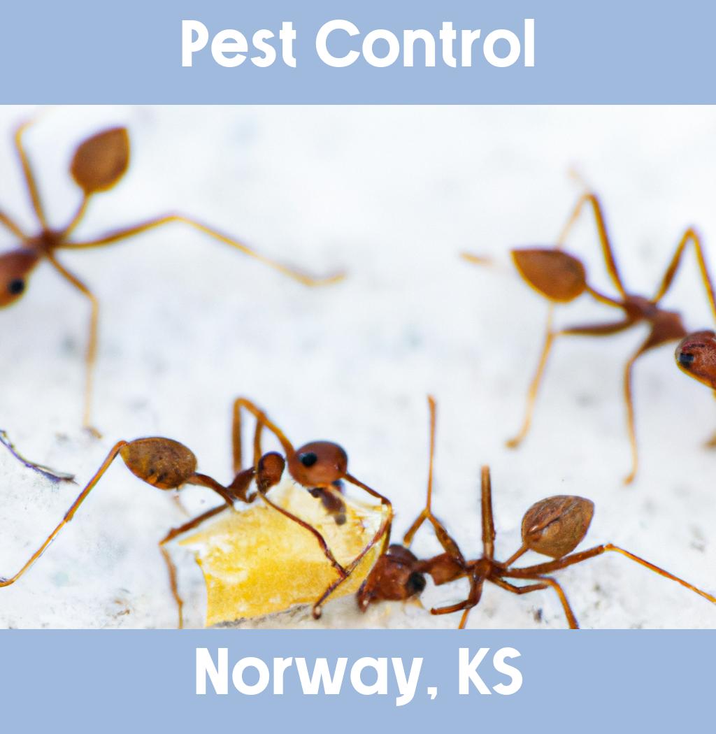 pest control in Norway Kansas