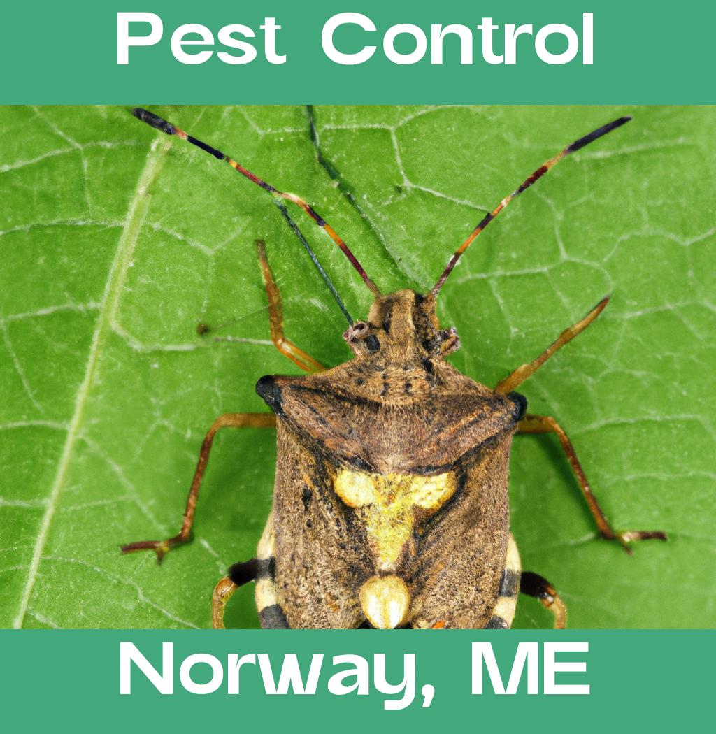 pest control in Norway Maine