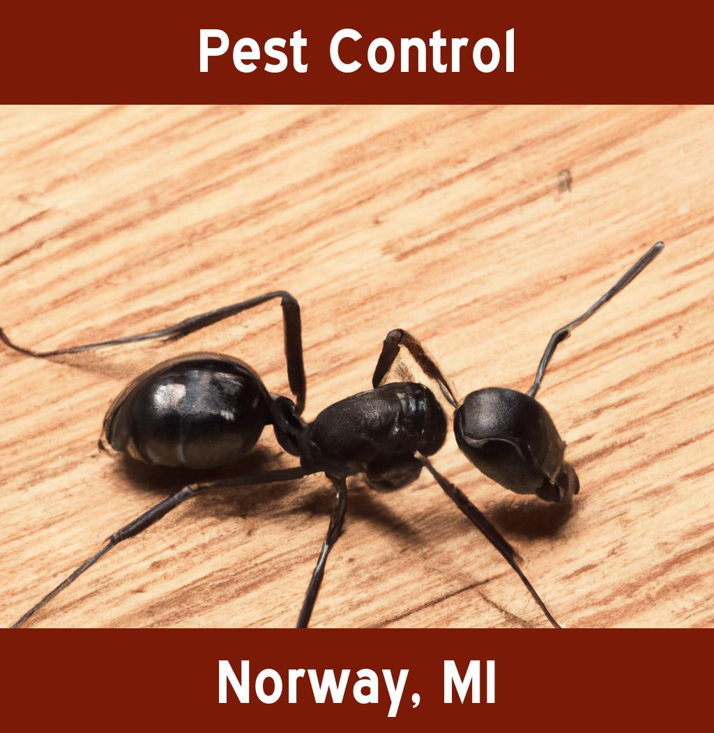 pest control in Norway Michigan