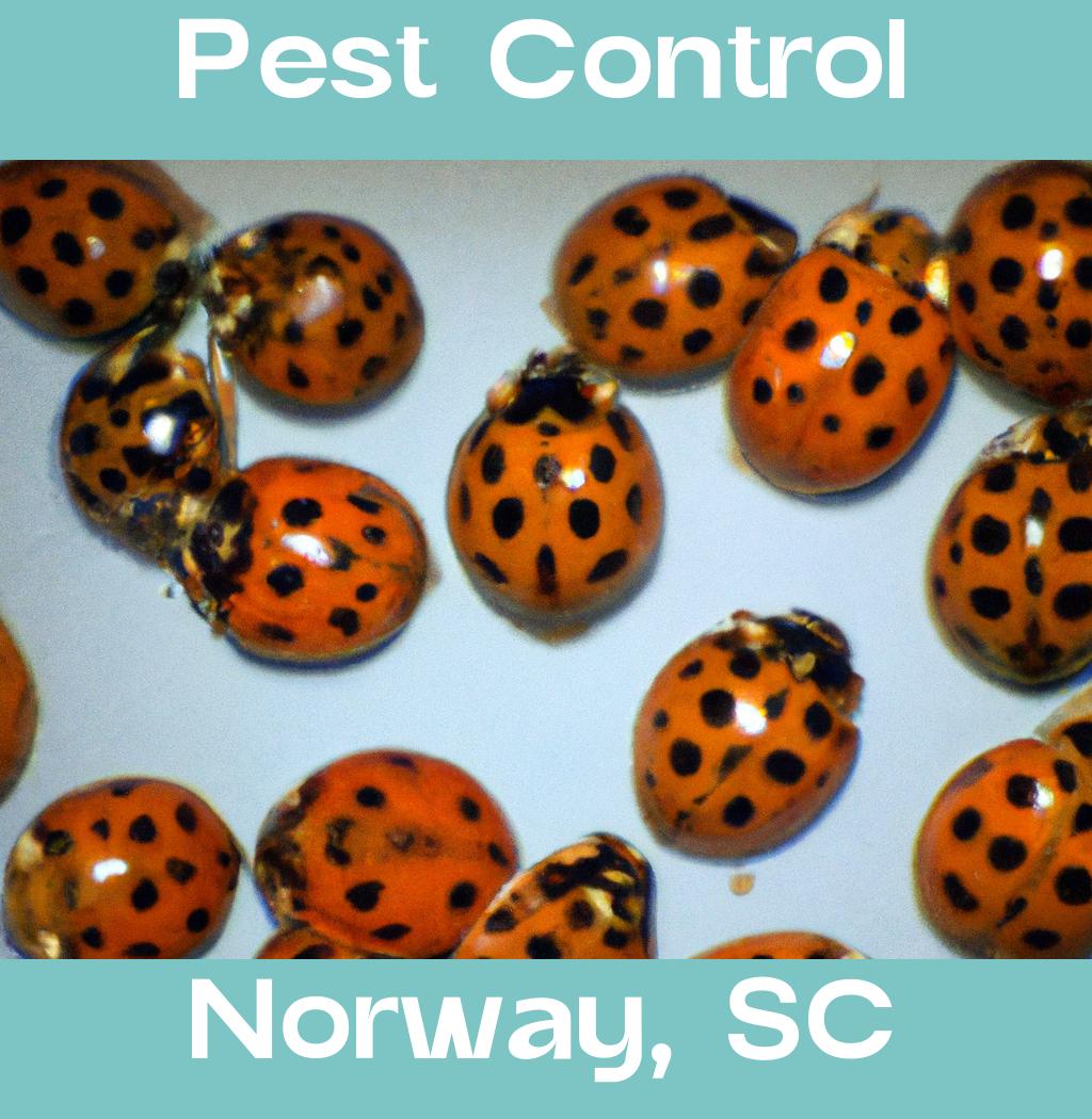 pest control in Norway South Carolina