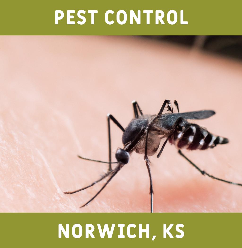 pest control in Norwich Kansas