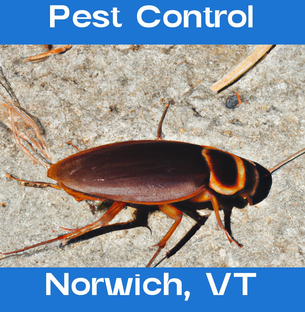 pest control in Norwich Vermont