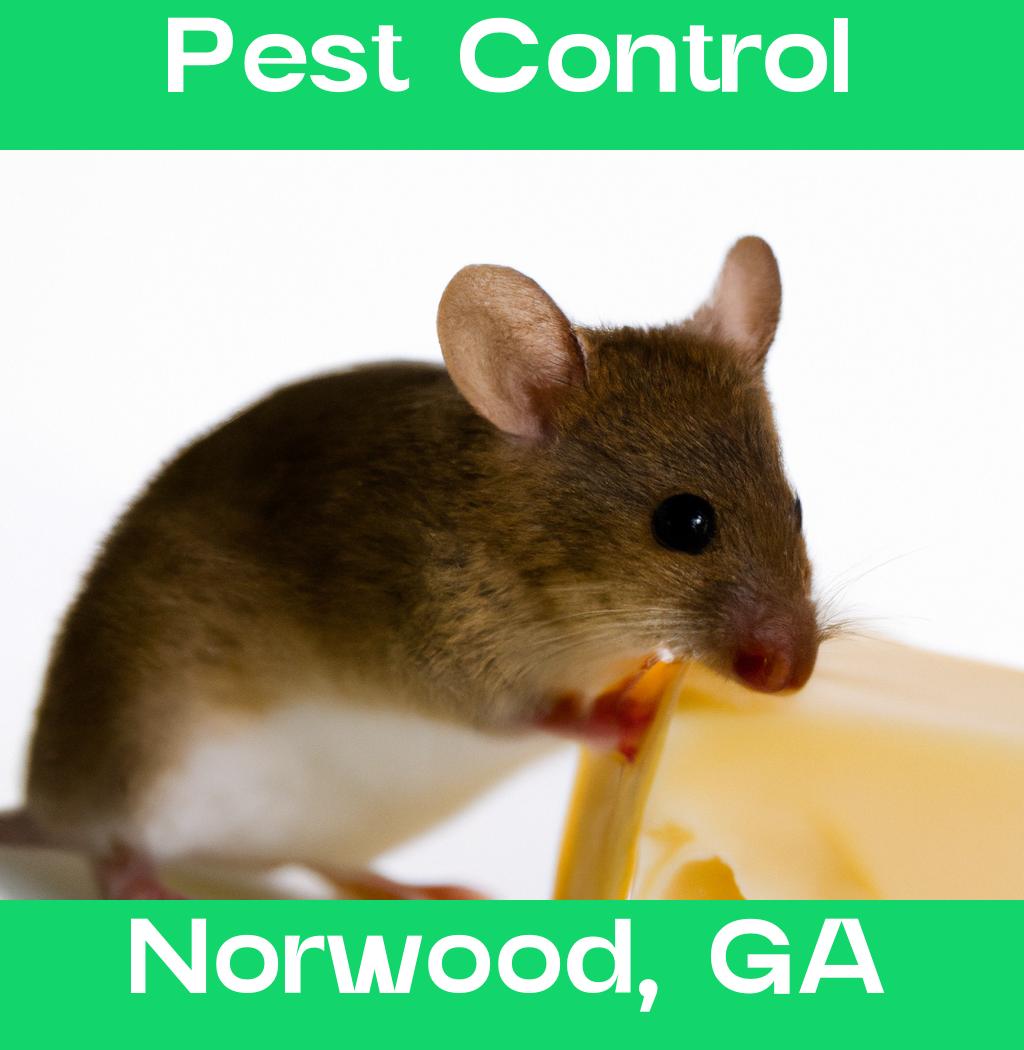 pest control in Norwood Georgia
