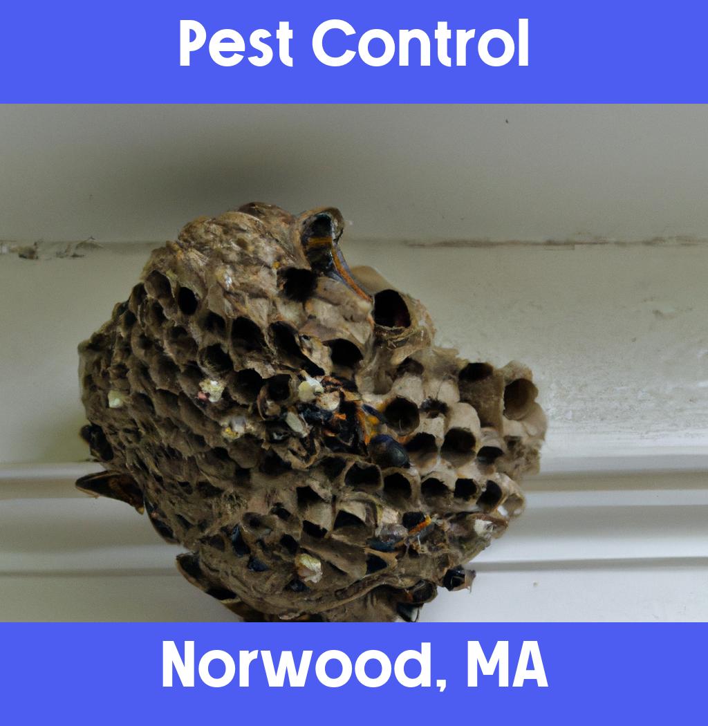 pest control in Norwood Massachusetts