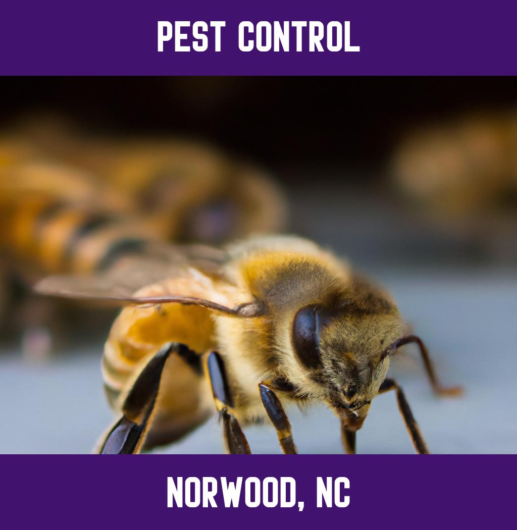 pest control in Norwood North Carolina