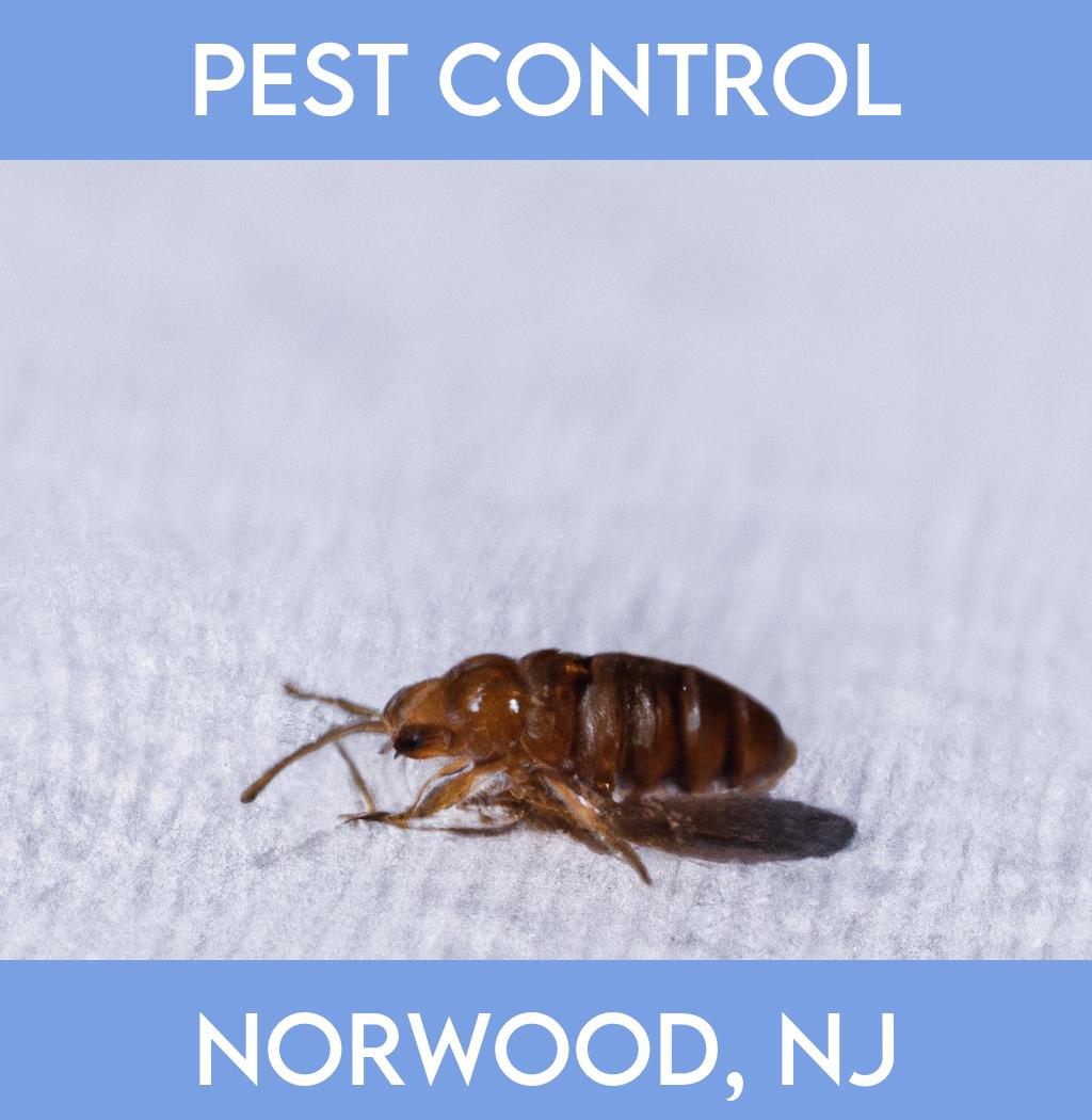 pest control in Norwood New Jersey