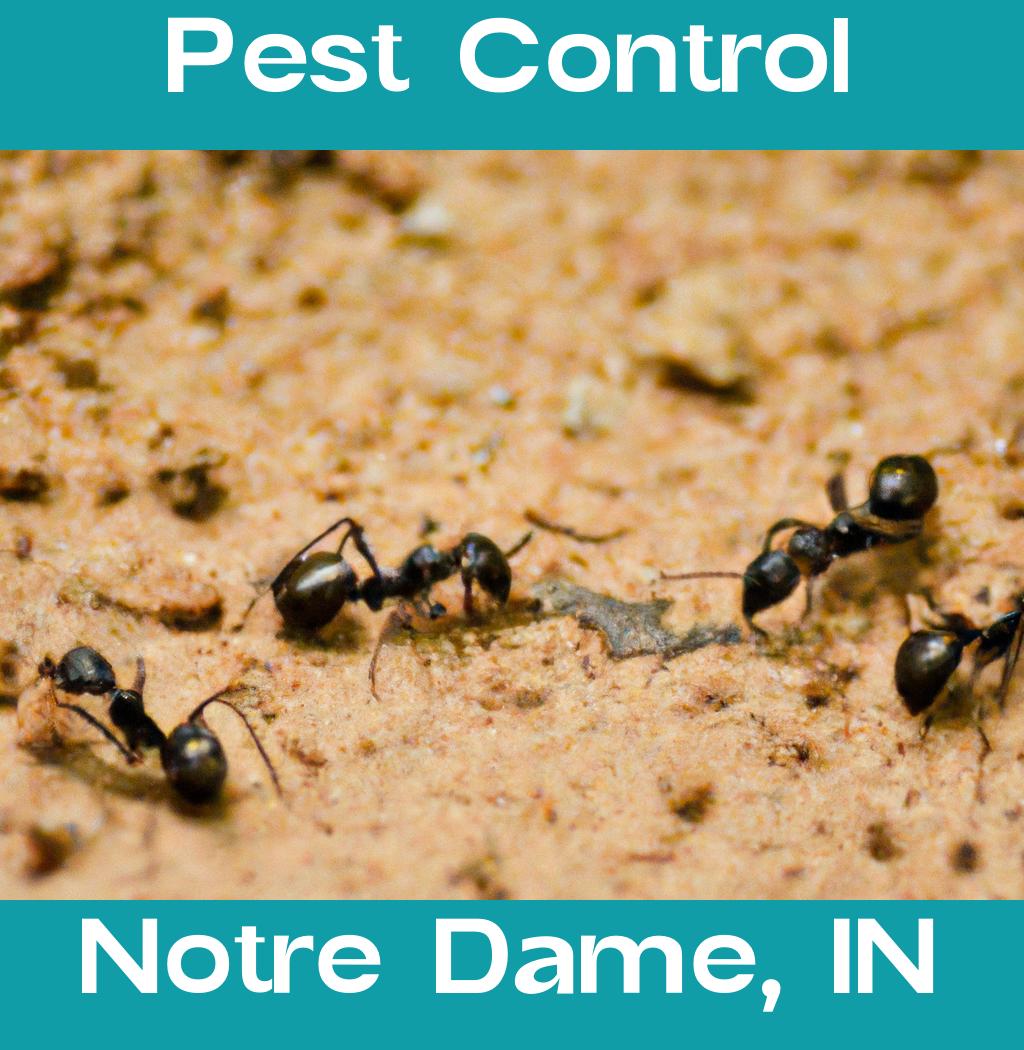 pest control in Notre Dame Indiana