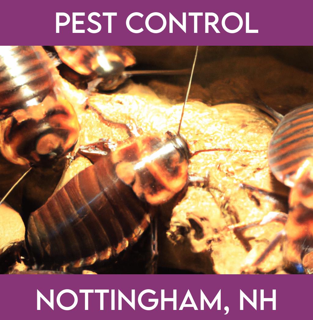 pest control in Nottingham New Hampshire