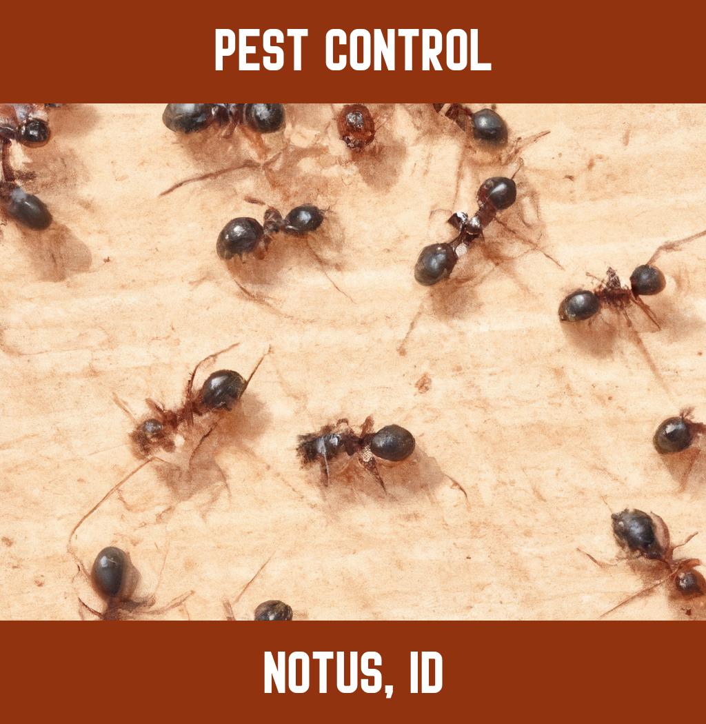 pest control in Notus Idaho