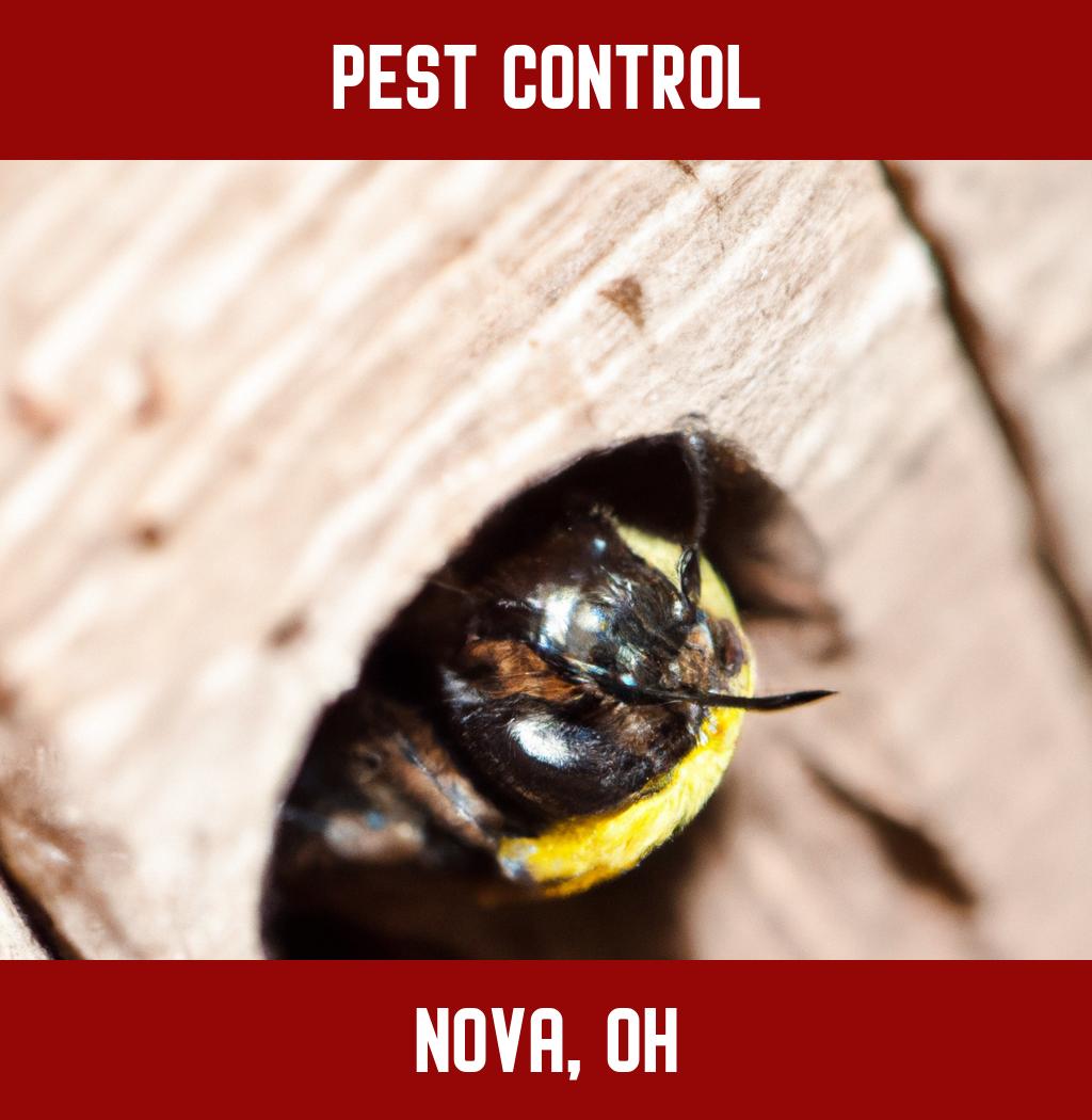 pest control in Nova Ohio