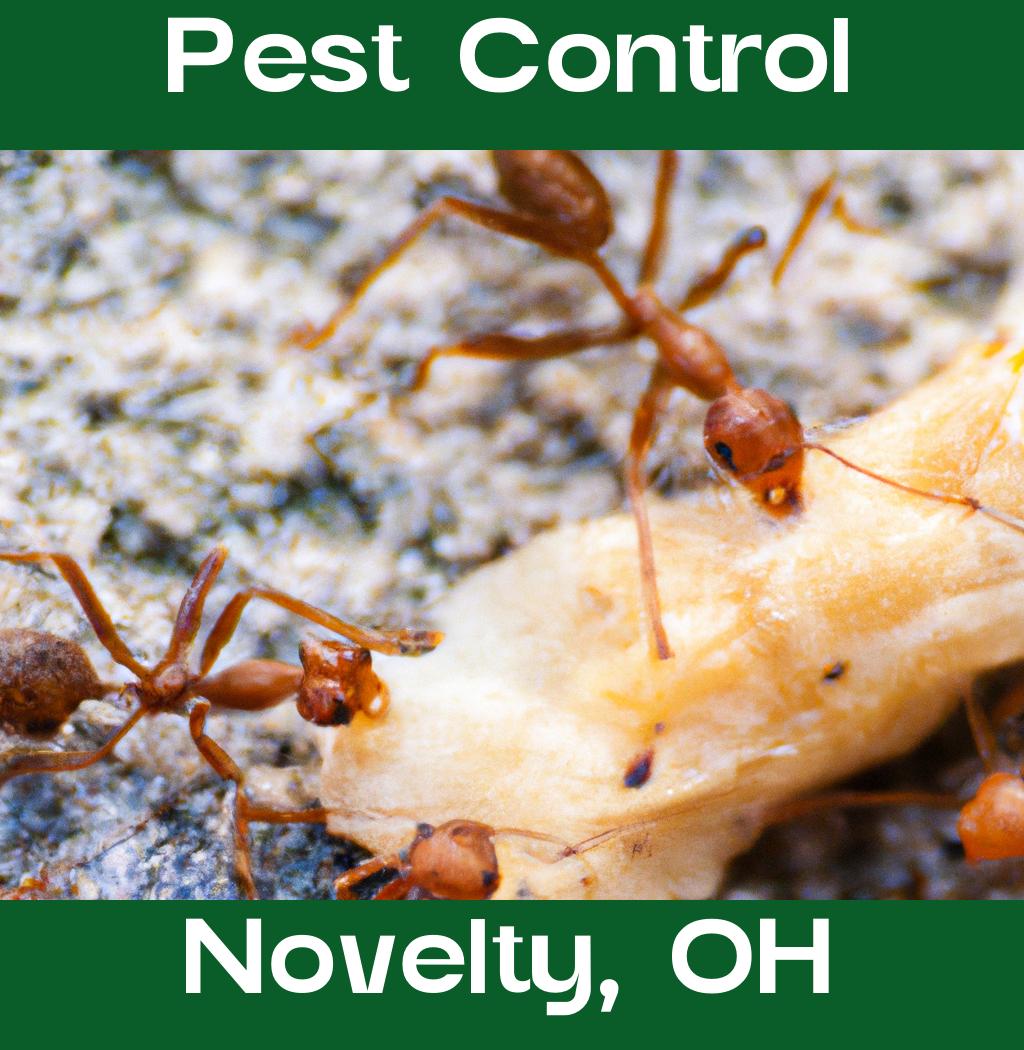 pest control in Novelty Ohio