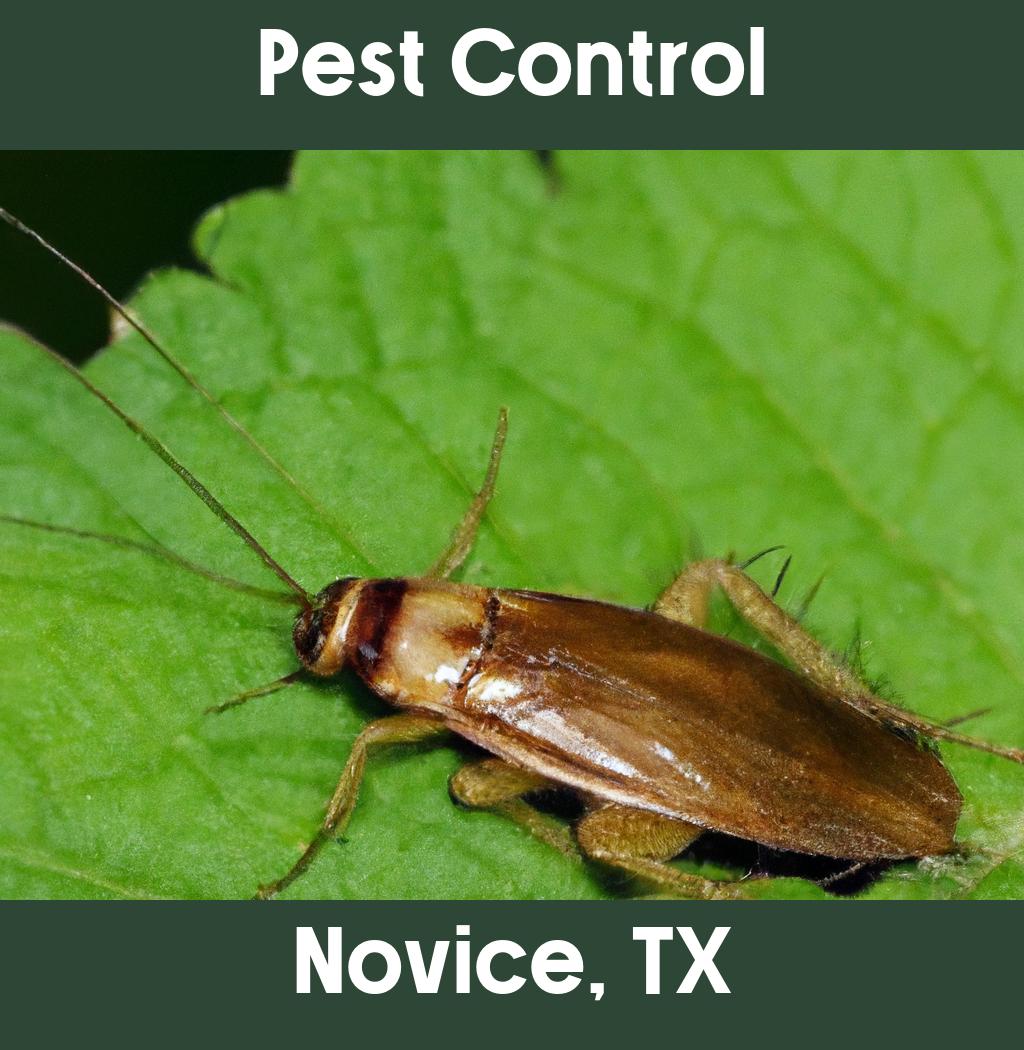 pest control in Novice Texas