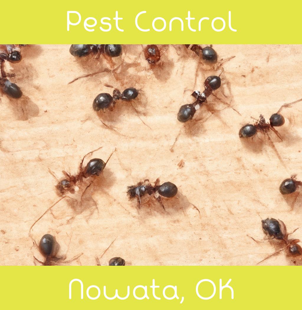 pest control in Nowata Oklahoma