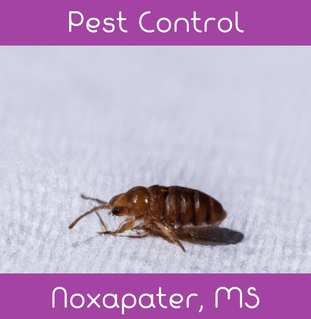 pest control in Noxapater Mississippi