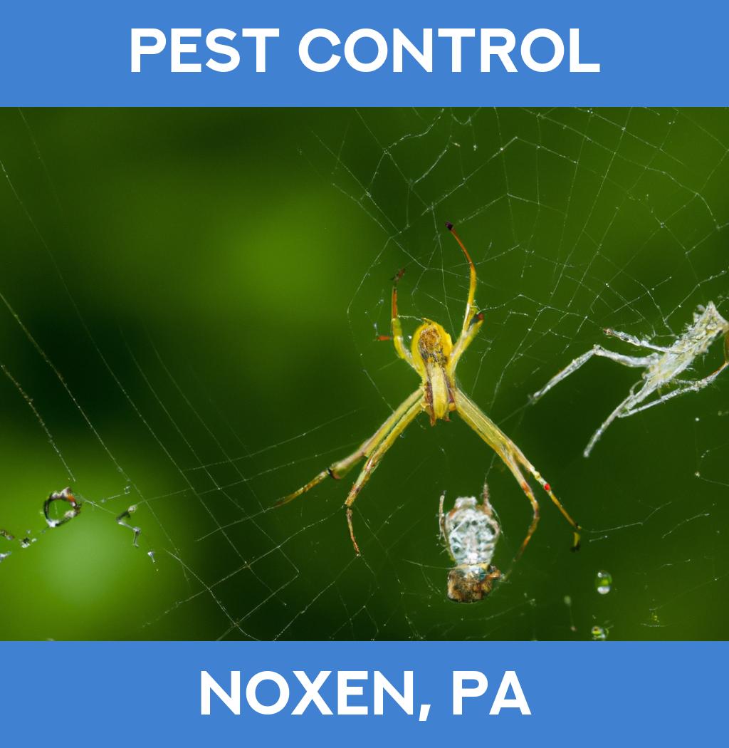 pest control in Noxen Pennsylvania