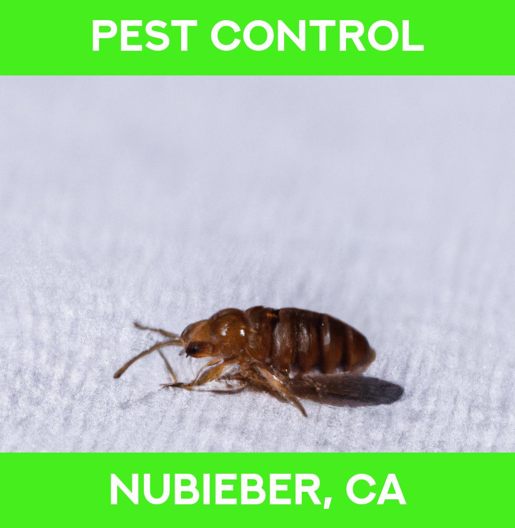 pest control in Nubieber California