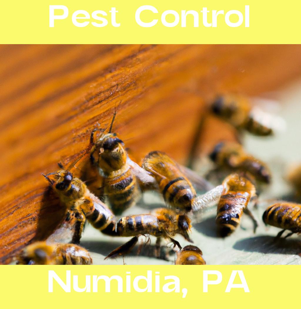 pest control in Numidia Pennsylvania