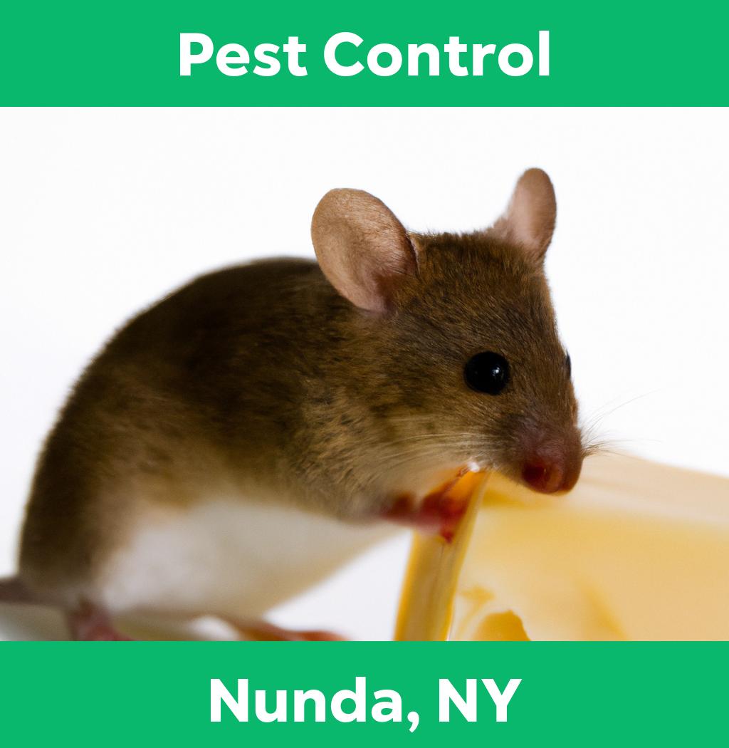 pest control in Nunda New York