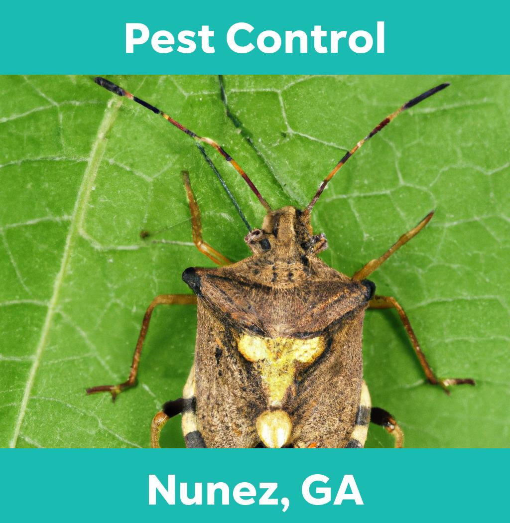 pest control in Nunez Georgia