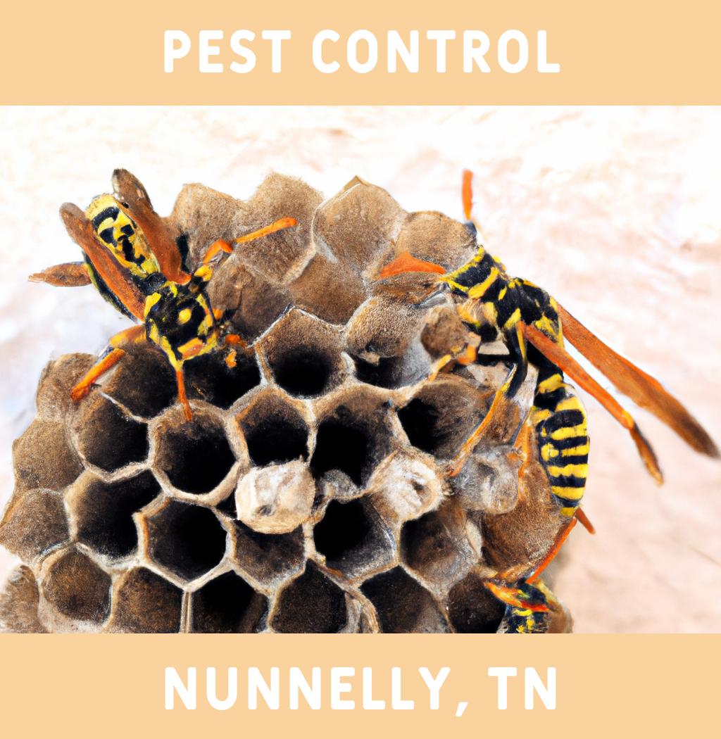 pest control in Nunnelly Tennessee