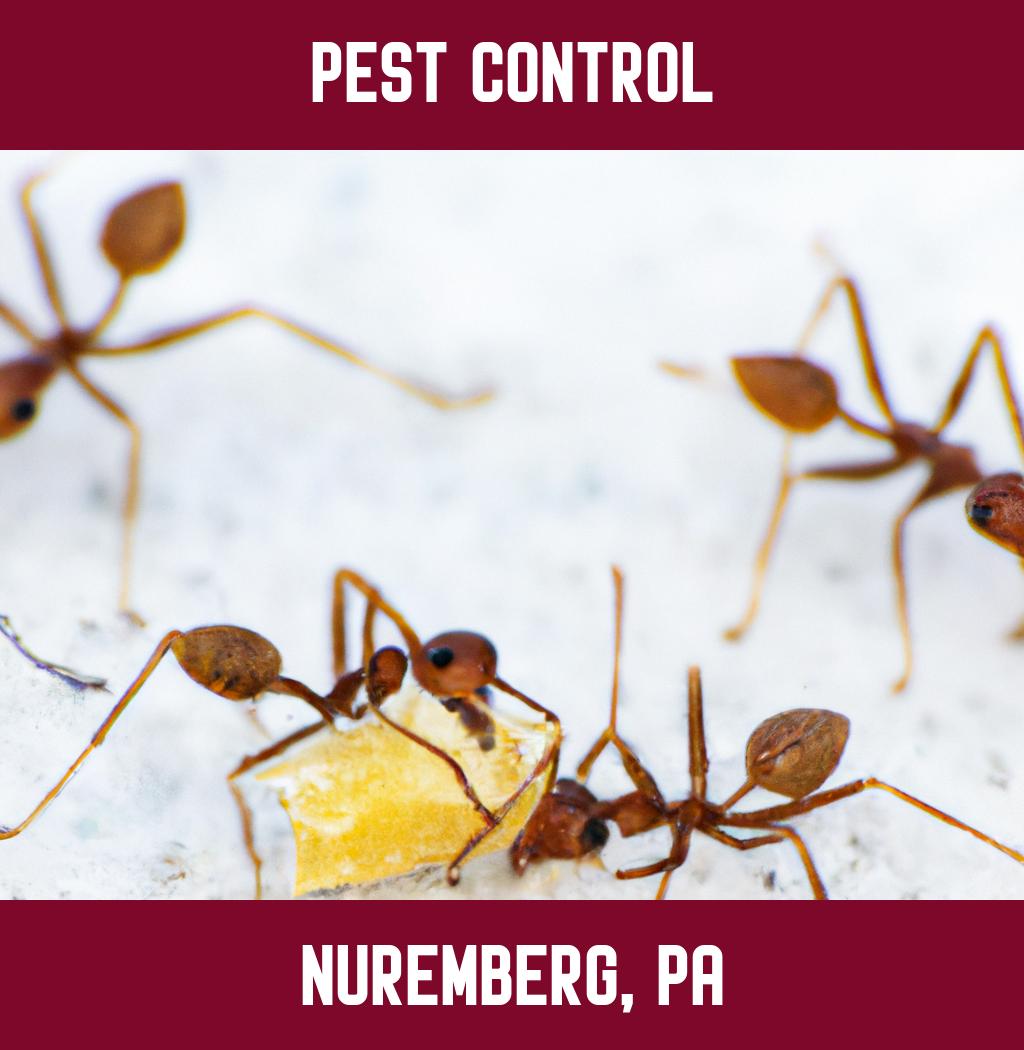 pest control in Nuremberg Pennsylvania