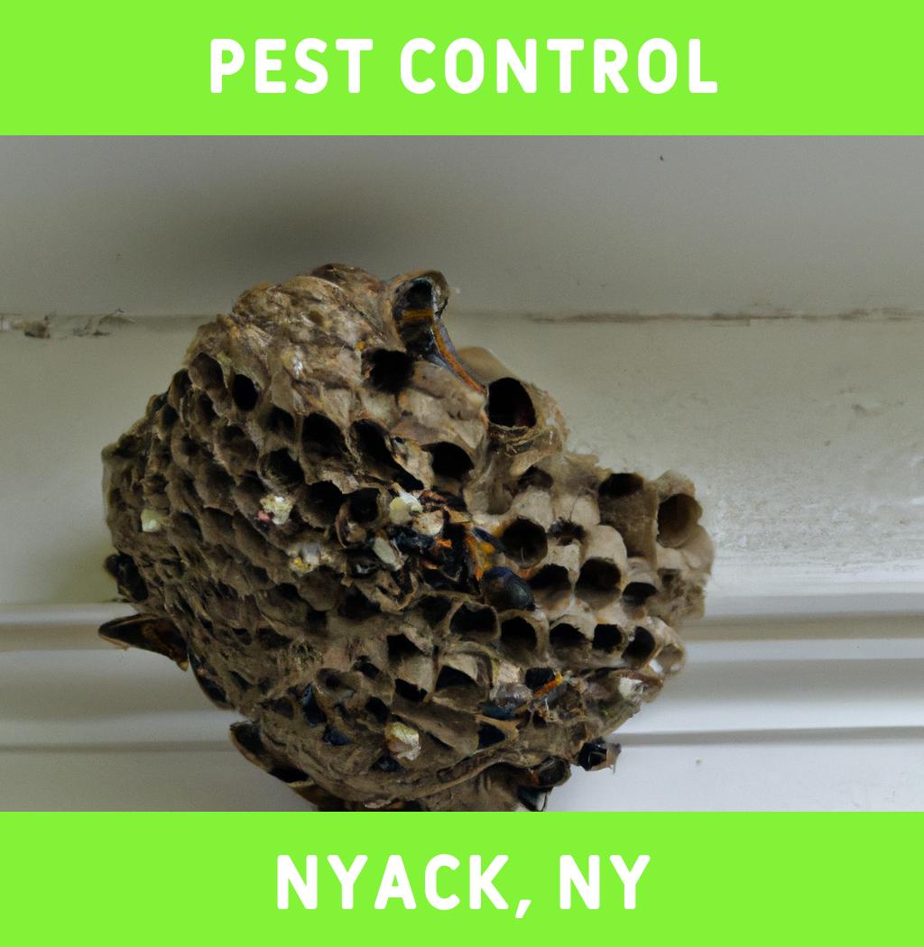 pest control in Nyack New York